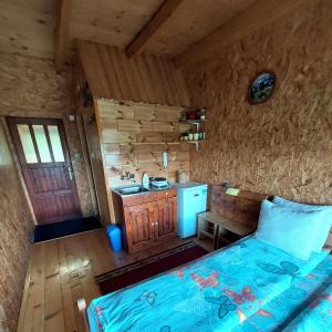 a kitchen with a bed and a sink in a room at Domaćinstvo Krstajić - Rural holiday in Žabljak