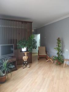 Novxani jorat beach area في سومقاييت: غرفة معيشة مع نباتات الفخار وتلفزيون بشاشة مسطحة