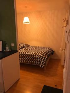 a bedroom with a bed in a room at le Garden de plein pied in Mainvilliers +11 photos