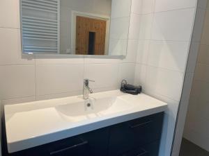 a bathroom with a white sink and a mirror at Appartement Elperhof 16A in Schoonloo +16 photos