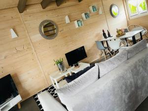 TV a/nebo společenská místnost v ubytování Woodhouse Resort