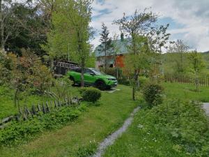 a green car parked in front of a house at Apartment Dulovine in Kolašin