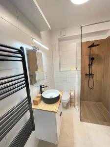 a bathroom with a sink and a toilet and a shower at Panorama Superior Apartments - Pool, garden, parking in Balatonalmádi