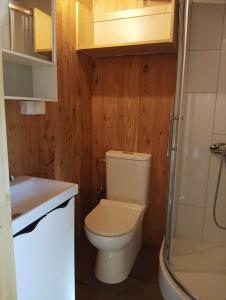 W łazience znajduje się toaleta, umywalka i prysznic. w obiekcie Drewniany Domek Małgorzatka 
