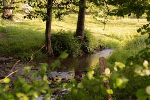 a stream in a field with trees and grass at La sittelle des aguesses in Andenne