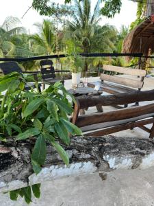 a fallen tree with two benches and a plant at Near Lake Hostal in Bacalar