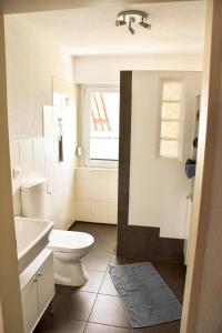 La salle de bains est pourvue de toilettes, d'un lavabo et d'une fenêtre. dans l'établissement am Hohlebach, à Schliengen