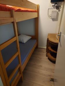 a bedroom with a bunk bed and a ladder at Chalet in Lanaken