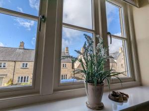 a window with a potted plant on a window sill at Cosy coach house in historical Tetbury in Tetbury