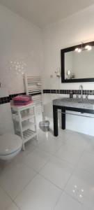 ein Badezimmer mit einem WC, einem Waschbecken und einem Spiegel in der Unterkunft Chambres d'hôtes Les Iris in Sospel