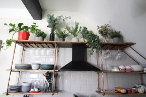 a kitchen with wooden shelves with plants on them at The Old Schoolhouse in Whitstable