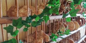 Afbeelding uit fotogalerij van Ferienwohnungen St Hippolyt mit Hallenbad in Lagundo