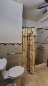 a bathroom with a toilet and a shower curtain at Sohla Rooftop Hostel in San Juan del Sur