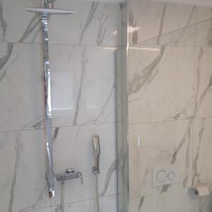 a shower with a glass door in a bathroom at Villa Dolce Amaro in Izola