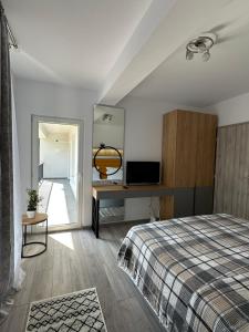 1 dormitorio con cama, escritorio y espejo en Apartamente Ariniș en Gura Humorului