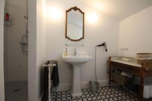 a bathroom with a sink and a mirror at Le Cabanon in Cosne Cours sur Loire +8 photos