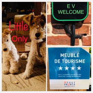 a dog is sitting next to a sign with a welcome sign at ROUGE COTTAGE Gîte 4 étoiles Billard in Gueutteville-les-Grès