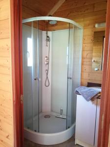 a shower with a glass door in a room at Le Chalet de Lilie in Bassignac