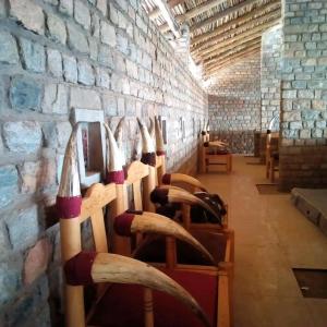 una fila de barriles de vino en una pared de piedra en Katurum Kidepo lodge, en Loitanit