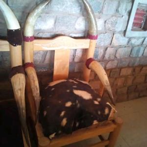 Katurum Kidepo lodge في Loitanit: كرسي خشبي فوقه أبواق