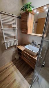 a bathroom with a sink and a mirror at Rénové, cozi et magnifique vue in Leukerbad