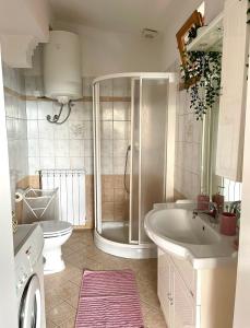 a bathroom with a shower and a sink and a toilet at Istrian house Casa del nonno in Šmarje