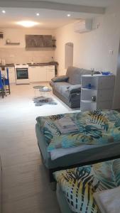 Kuchyň nebo kuchyňský kout v ubytování Apartman Lusi