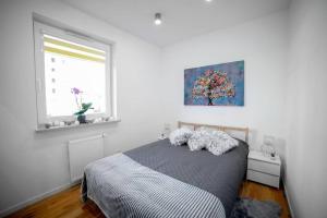 a bedroom with a bed and a window at Nowoczesny dwupokojowy Apartament Bridget z parkingiem in Ełk