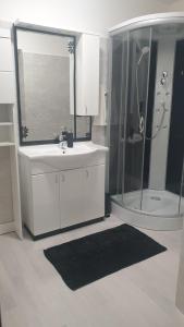 Koupelna v ubytování Apartman Lusi