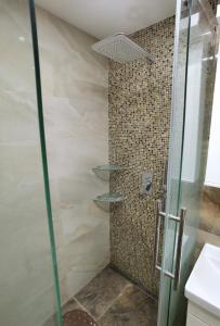 a bathroom with a shower with a glass door at Kalina Apartment in Dušanovac (historical)