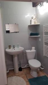 a white bathroom with a toilet and a sink at Studio Orléans Châtelet in Orléans