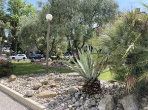 a rock garden with a palm tree and a street light at Villa Lisa - La quiete e il profumo del mare in Grado +30 photos