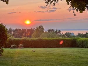 un perro en un campo con la puesta de sol en el fondo en Modern Family Home in Middletown, RI- just 4 mi to Newport!, en Middletown