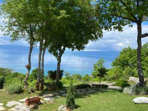 a garden with trees and the ocean in the background at Paradise Nest in Ohrid