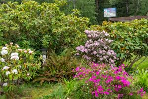 einen Garten voller verschiedener bunter Blumen in der Unterkunft Town Motel in Forks