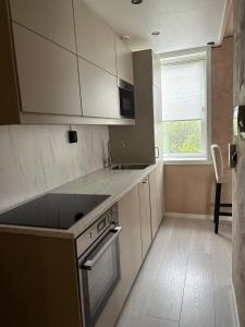 Virtuvė arba virtuvėlė apgyvendinimo įstaigoje MK8 Apartment