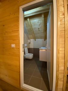 a bathroom with a toilet and a glass door at Adenisi guesthouse in Tropojë