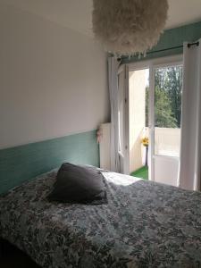 ein Schlafzimmer mit einem Bett mit einem Kissen darauf in der Unterkunft Appartement des Cygnes in Annecy
