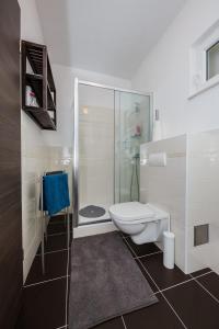 W łazience znajduje się toaleta i przeszklony prysznic. w obiekcie Studio Apartment Stela w mieście Vrboska