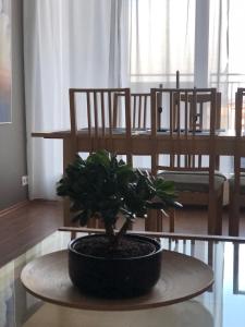 Fotografie z fotogalerie ubytování Eyjasol Apartments v Reykjavíku