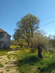 Fotografia z galérie ubytovania Céladon v destinácii Bach