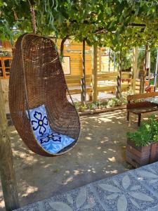 a swing hanging from a tree in a park at Cabañas Refugio Nativo in Santa Cruz