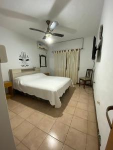 1 dormitorio con 1 cama y ventilador de techo en Dpto Costanera Gualeguaychu Alem en Gualeguaychú