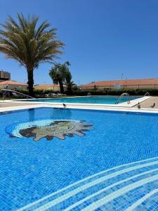 una gran piscina azul con una palmera en Vista al mar - Piscina by VV Canary Ocean Homes, en Los Cristianos