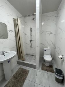 a bathroom with a shower and a toilet and a sink at Приватна садиба Соломія in Bukovel