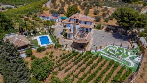 an aerial view of a house with a pool and a vineyard at Cubo's Villa Fina & Minigolf included in Málaga