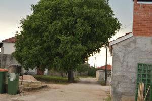 Okolí apartmánu