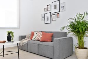- un canapé gris dans un salon orné de plantes dans l'établissement Bonita Casa, Cerca de la FNSM, Ideal para grupos, à Aguascalientes