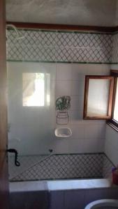a bathroom with a tub and a plant in a window at club de campo los horneros in Ingeniero Maschwitz
