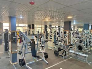 a gym with rows of treadmills and machines at Decapolis in Irbid